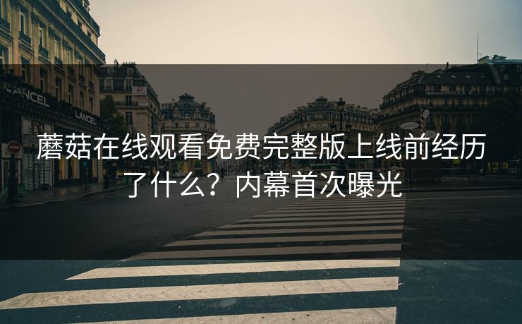 蘑菇在线观看免费完整版上线前经历了什么？内幕首次曝光