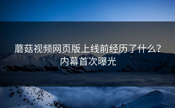 蘑菇视频网页版上线前经历了什么？内幕首次曝光