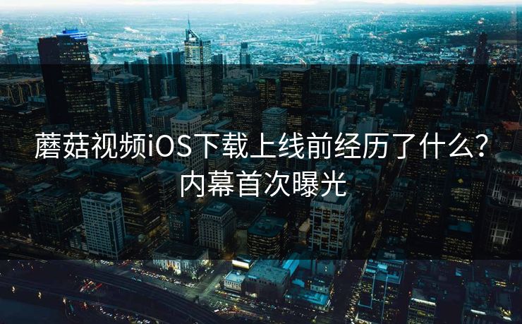 蘑菇视频iOS下载上线前经历了什么？内幕首次曝光