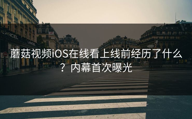 蘑菇视频iOS在线看上线前经历了什么？内幕首次曝光
