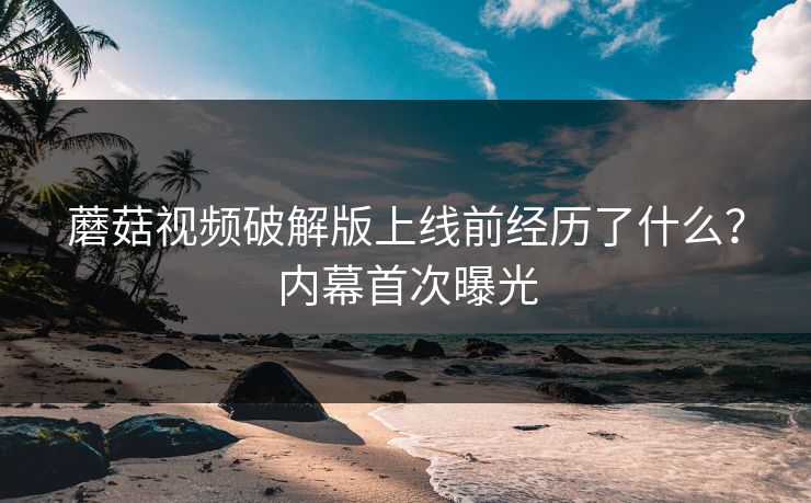 蘑菇视频破解版上线前经历了什么？内幕首次曝光