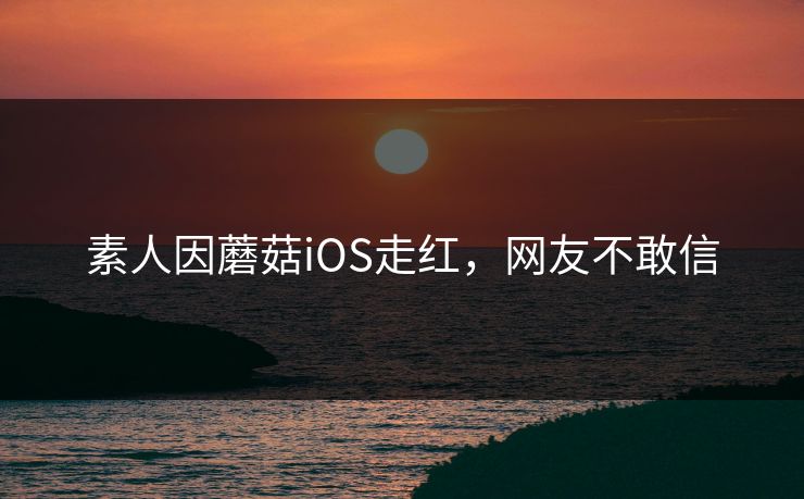 素人因蘑菇iOS走红，网友不敢信
