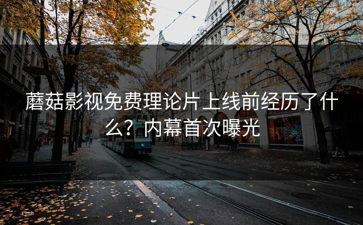 蘑菇影视免费理论片上线前经历了什么？内幕首次曝光