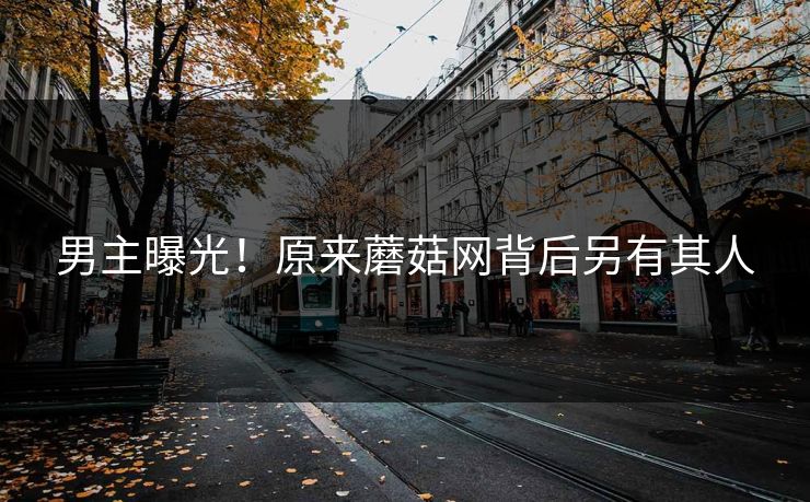 男主曝光！原来蘑菇网背后另有其人