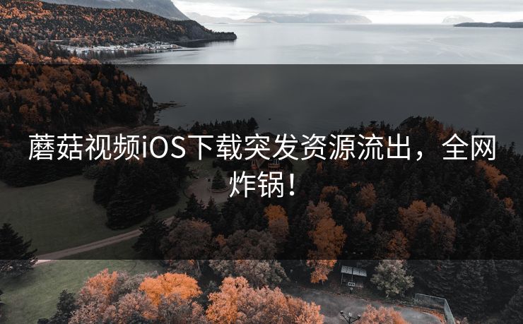 蘑菇视频iOS下载突发资源流出，全网炸锅！