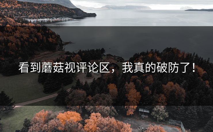 看到蘑菇视评论区，我真的破防了！