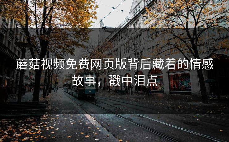蘑菇视频免费网页版背后藏着的情感故事，戳中泪点