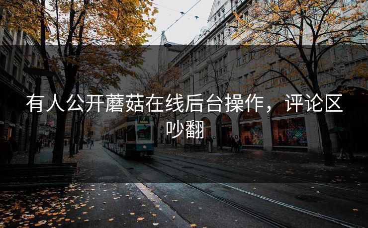 有人公开蘑菇在线后台操作，评论区吵翻