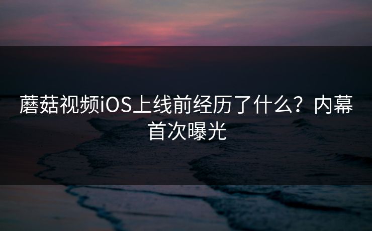 蘑菇视频iOS上线前经历了什么？内幕首次曝光