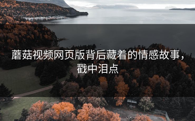 蘑菇视频网页版背后藏着的情感故事，戳中泪点