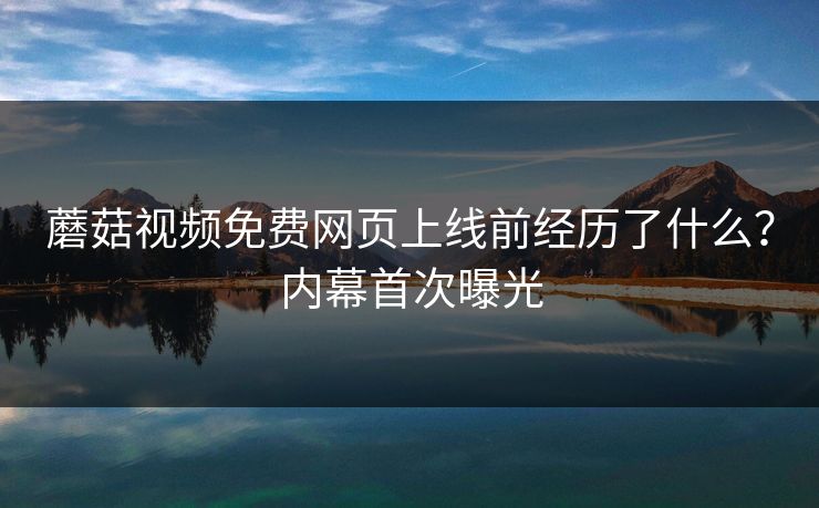蘑菇视频免费网页上线前经历了什么？内幕首次曝光
