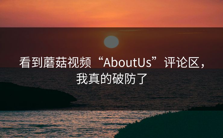 看到蘑菇视频“AboutUs”评论区，我真的破防了