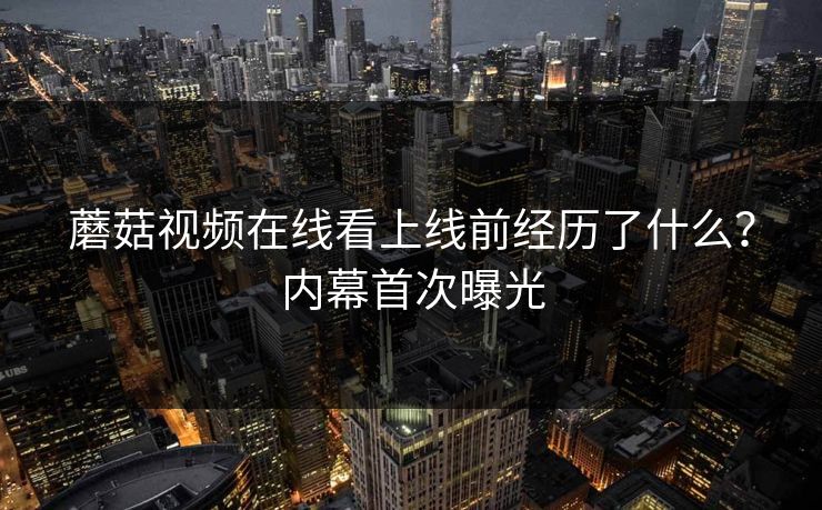 蘑菇视频在线看上线前经历了什么？内幕首次曝光