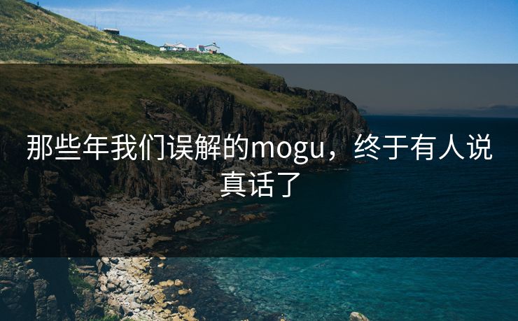 那些年我们误解的mogu，终于有人说真话了