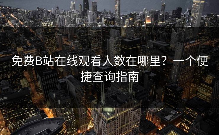 免费B站在线观看人数在哪里？一个便捷查询指南