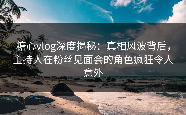 糖心vlog深度揭秘：真相风波背后，主持人在粉丝见面会的角色疯狂令人意外