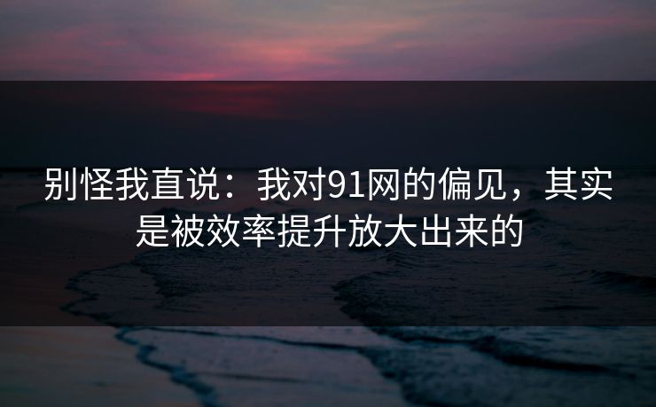 别怪我直说：我对91网的偏见，其实是被效率提升放大出来的