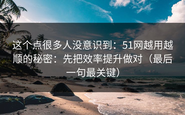 这个点很多人没意识到：51网越用越顺的秘密：先把效率提升做对（最后一句最关键）